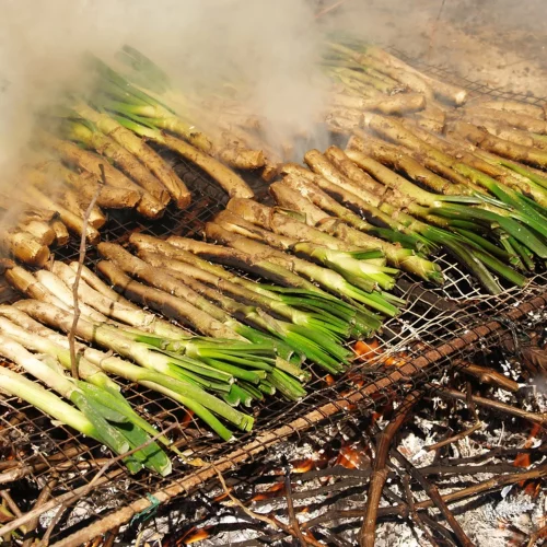 Calçotada & projection du film "Nous n'avons pas peur des ruines"