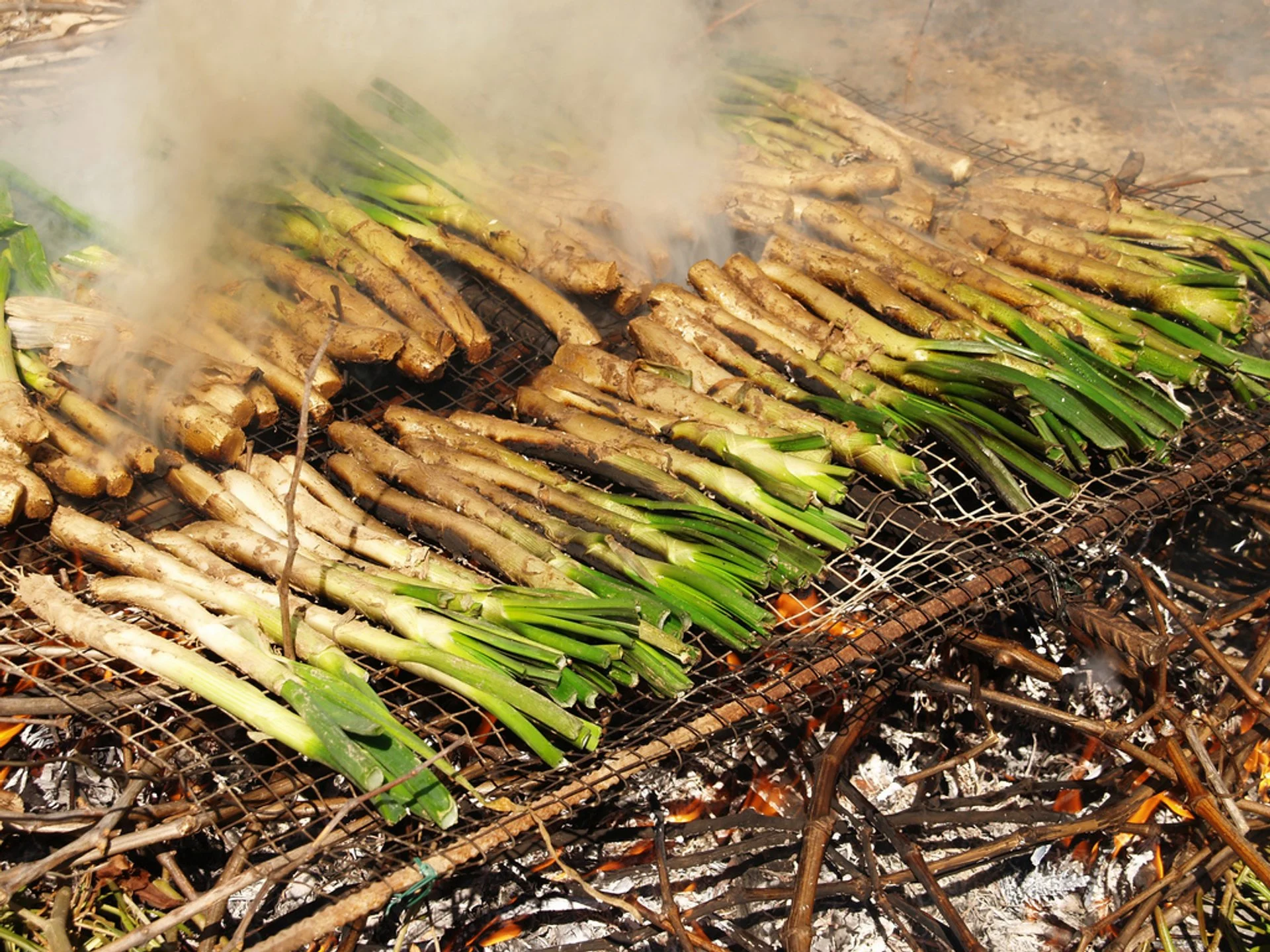 Calçotada & projekciado de la filmo "Ruinoj ne timigas nin"