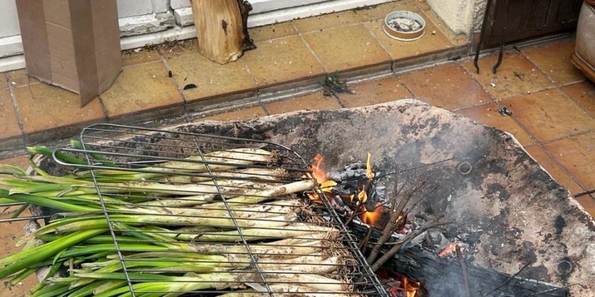 Photo des calçots en train de cuire sur le feu