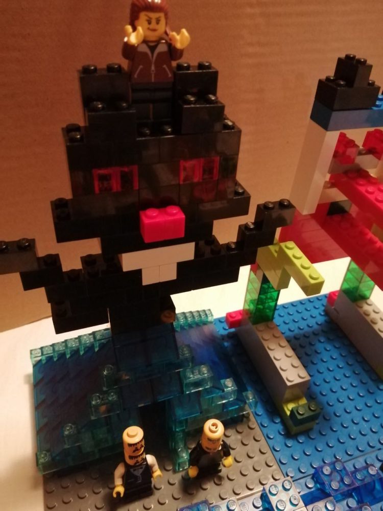 Image du chat de Simon et Lucas en Lego